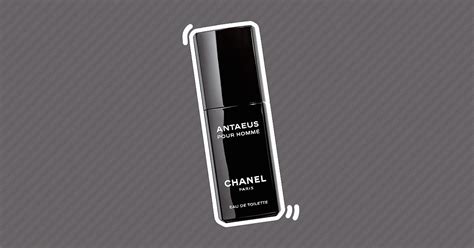 antaeus chanel review|cheapest Chanel antaeus equivalent.